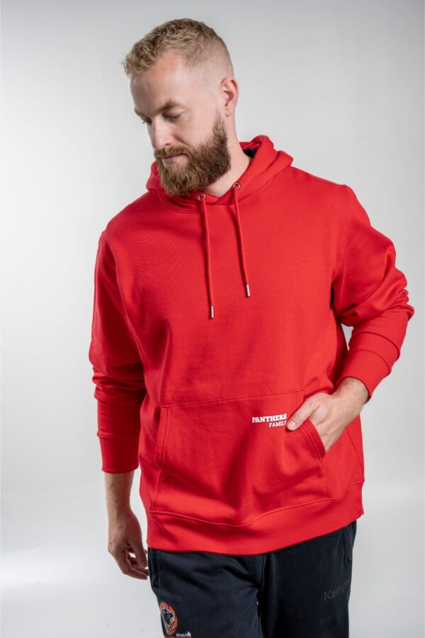 All Panthers Hoodie front – Vorderansicht mit sichtbarem Brustprint