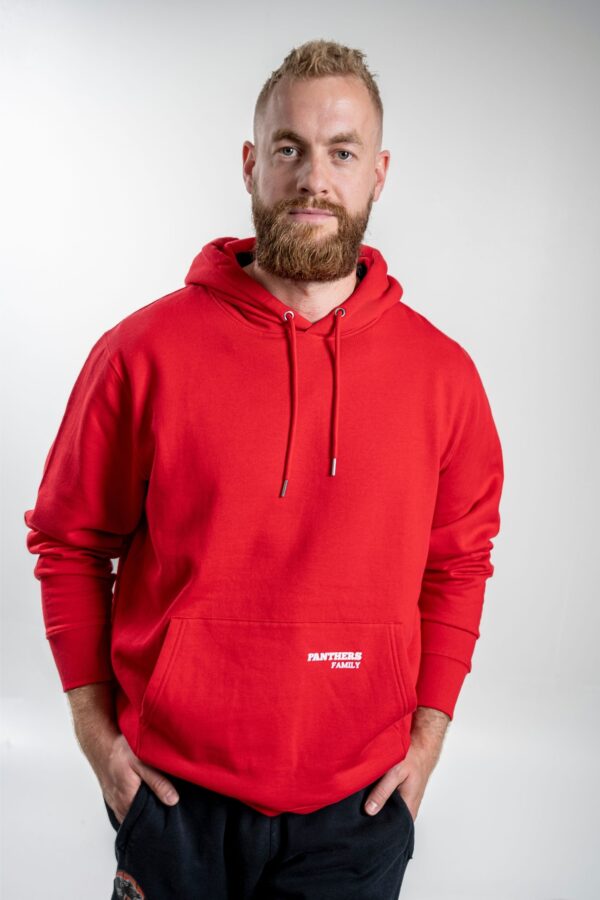 All Panthers Hoodie front – Vorderansicht mit sichtbarem Brustprint