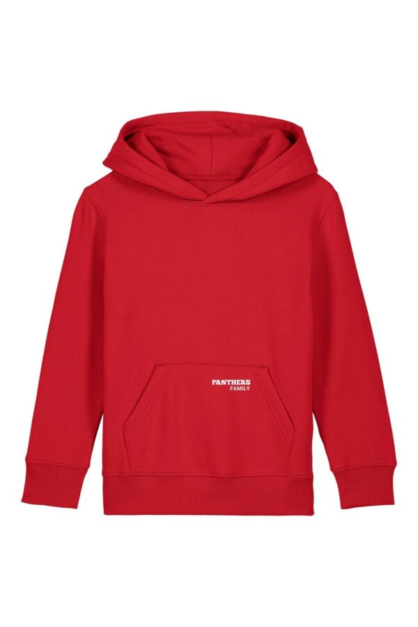 All Panthers Hoodie Kids front – Vorderansicht mit sichtbarem Brustprint