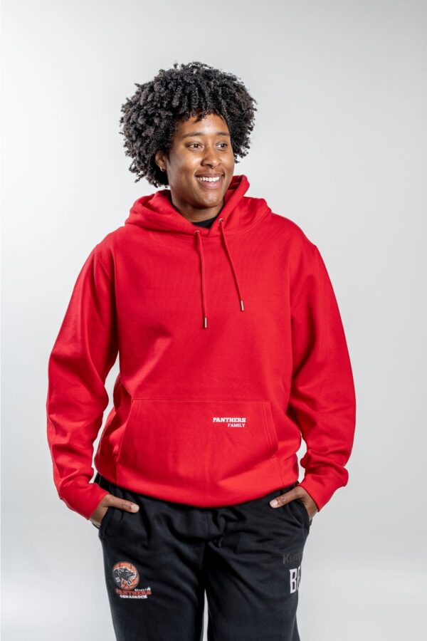 All Panthers Hoodie front – Vorderansicht mit sichtbarem Brustprint